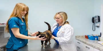 San Antonio Animal Hospital